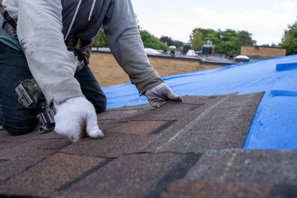 Sheet Metal Roofing in Woodland Beach, MI